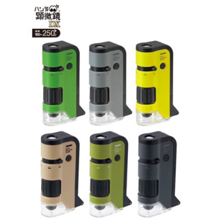 現貨 ●哆哆日貨●日本藤井 迷你顯微鏡 RXT1144 攜帶型顯微鏡 Raymay 100-250倍 兒童顯微鏡