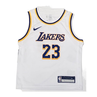 NBA Nike 洛杉磯 湖人隊 LBJ Lakers LeBron James 詹姆士 兒童 籃球衣