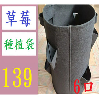 【三峽貓媽的店】花園蔬菜營養植物育苗袋毛氈草莓土豆種植桶圓形開口種植袋 六口草莓種植袋 花草種植袋 種花袋