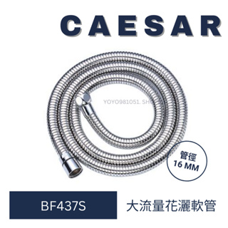 caesar 凱撒 BF437S 大流量花灑軟管 花灑軟管 水龍頭軟管 蓮蓬頭水管 不鏽鋼軟管 淋浴軟管 大流量