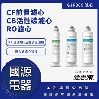 國源電器 愛惠浦 EVERPURE G3P800 濾心 濾芯 CF前置濾心 CB活性碳濾心 RO濾心 全新原廠公司貨