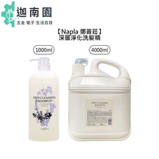 【napla 娜普菈】深層淨化洗髮精 1000ml 4000ml 洗髮精 髮浴 涼感 保濕 頭皮 異味 日本 草本