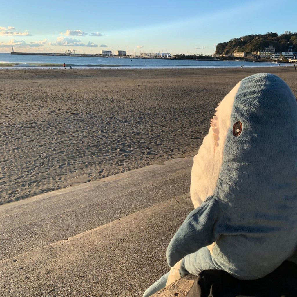 宜家同款鯊魚抱枕 IKEA鯊魚抱枕 大白鯊抱枕 鯊魚抱枕 100公分抱枕 大鯊魚 鯊魚公仔 大娃娃 布羅艾