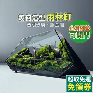 【免運費 X 草葉日和】生態瓶 微景觀 雙斜幾何雨林缸 生態缸 造景缸 水陸缸 苔蘚生態瓶 迷你生態瓶 玻璃花瓶