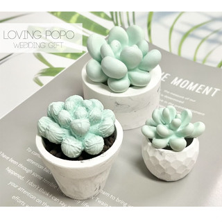 🌿Loving popo🌿多肉 仙人掌 盆栽 英國梨與小蒼蘭 擴香石 香氛石 擴香擺件 交換禮物 擴心擺件 室內香氛