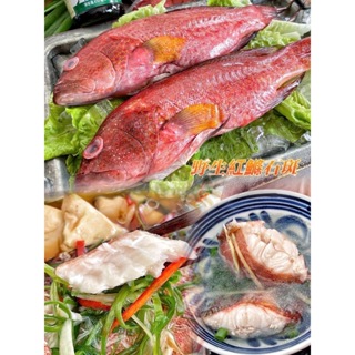 [全富水產]🐟野生紅鰷石斑魚400-500g/新鮮/海產/火鍋/批發/零售