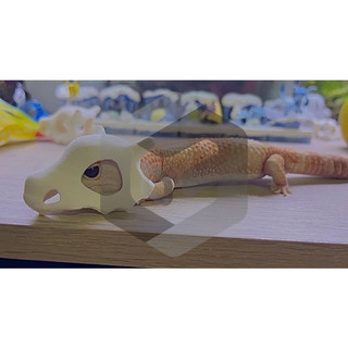 豹紋守宮a卡拉卡拉頭套 小寵物飾品