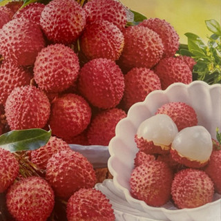 5-7月【玉荷包荔枝 糯米 桂味荔枝 】鵝蛋 丁香 吉利荔枝 果核小果肉豐厚 高雄大樹名產 肉質白嫩Q彈