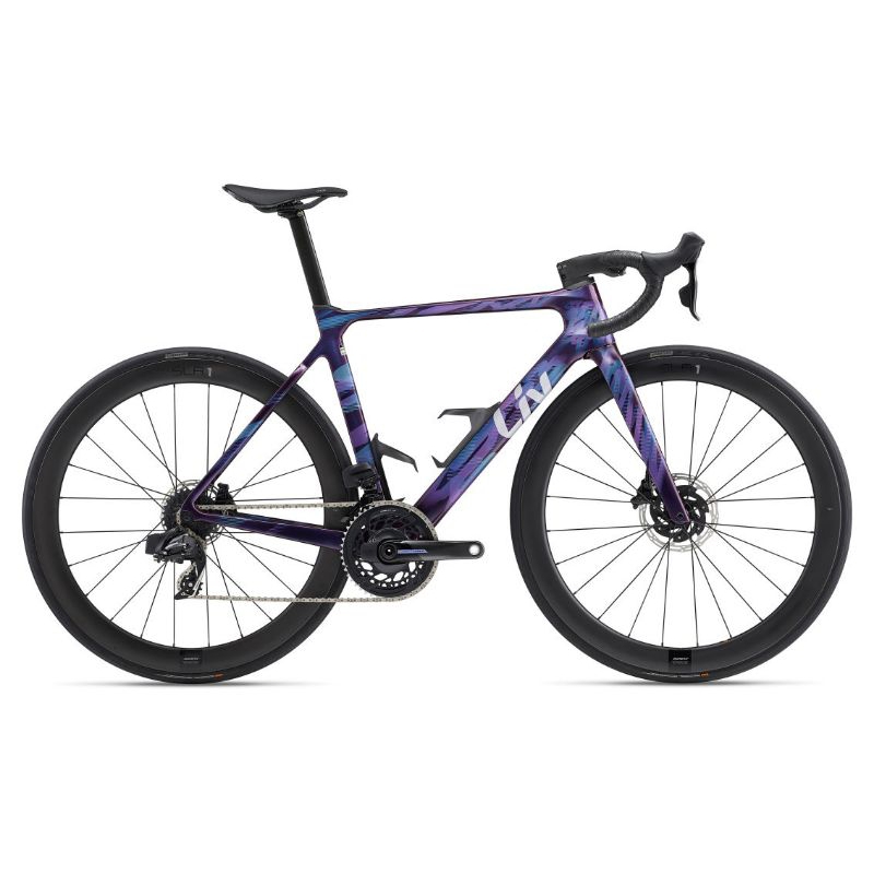 🚲聊聊甜甜價🚲全新公司貨 捷安特 2024 ENVILIV ADVANCED PRO AXS