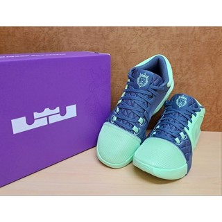 ✩Pair✩ NIKE FB2237-300 LEBRON WITNESS VIII EP 籃球鞋 ZOOM氣墊 綠