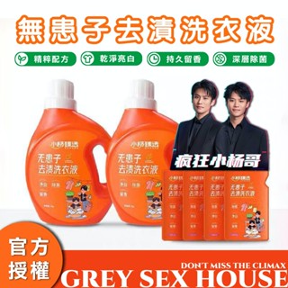 💦格雷房間💦現貨 小楊臻選 無患子去漬洗衣精 洗衣精 無患子洗衣精 濃縮洗衣精 洗衣液 除臭 柔軟精亮白 日常用品 Y3