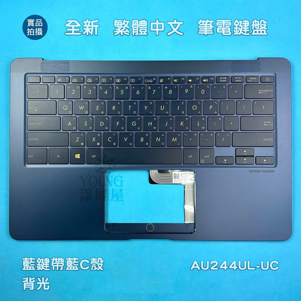 【漾屏屋】華碩 Asus ZenBook UX490 UX490U UX490UA 全新 繁體中文 筆電 鍵盤 帶C殼