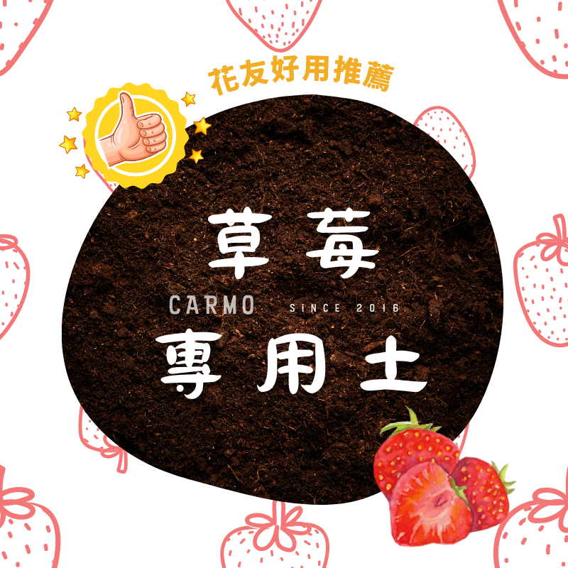 CARMO草莓專用泥炭土(沃鬆一號) 草莓土｜辣椒番茄專用土｜藍莓土｜茶花土｜介質土壤