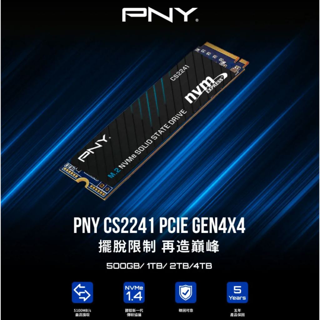 PNY CS2241 GEN.4 1TB M.2 2280 NVME1.4 SSD固態硬碟