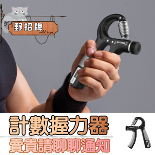【在臺🇹🇼現貨】握力器 健身器材 計數握力器 握力器100kg 腕力器 訓練 握力 握力氣 握力訓練器 手握器 調節計數