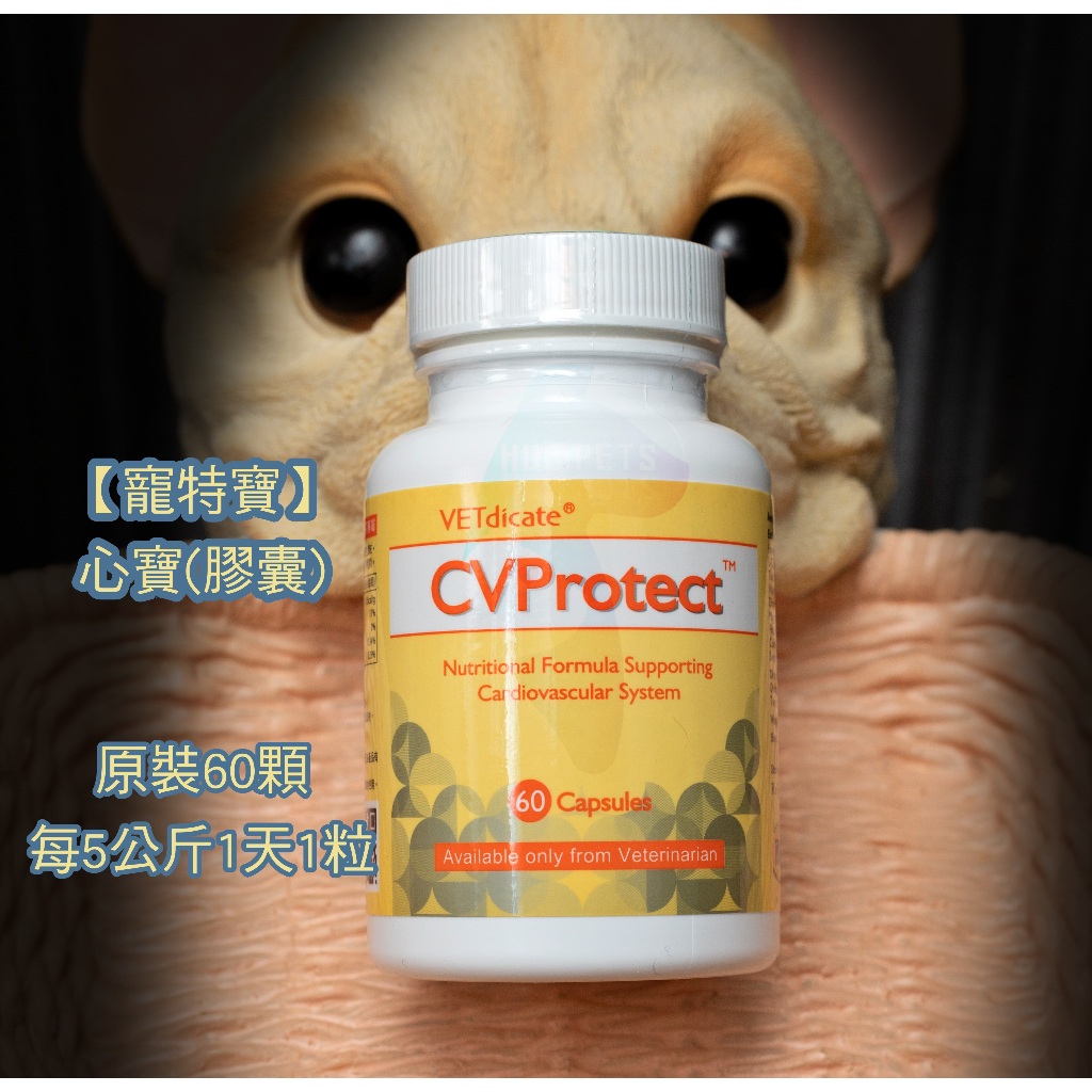 【寵特寶】原裝 CVProtect 心寶