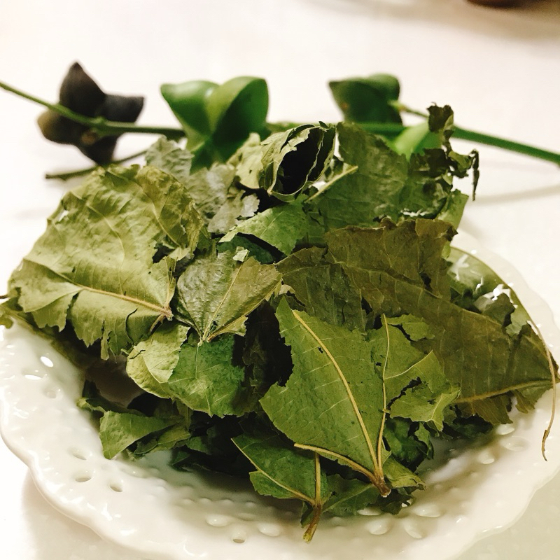 🇹🇼👨‍🌾自家農場👨‍🌾印加果葉茶包「有機」自然農法 正台灣本土生產Organic Sacha Inchi Tea