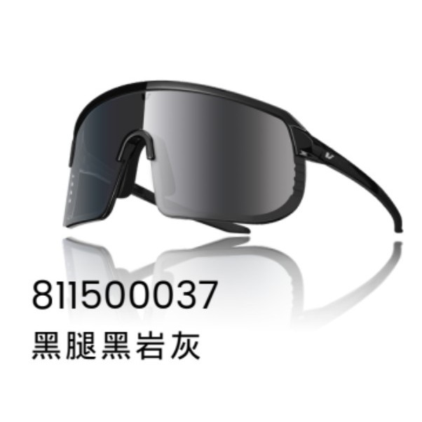 捷安特 LIV 102AP 包覆型 鍍膜 全天候 變色 太陽眼鏡 風鏡