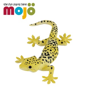 Mojo Fun動物模型 -豹紋守宮