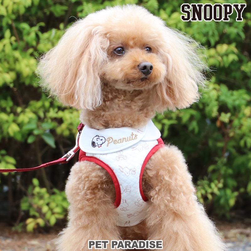 【PET PARADISE】史奴比天氣紅色寵物外出胸背 (SS/S)｜SNOOPY 2023新款 寵物精品