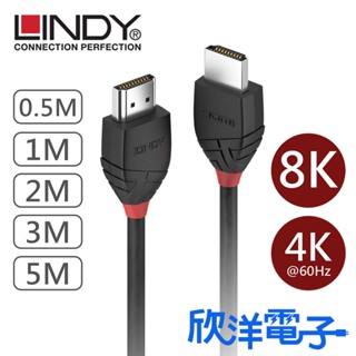 LINDY林帝 HDMI線 BLACK系列 HDMI 4K 8K (TYPE-A) 公公 傳輸線 0.5~5公尺