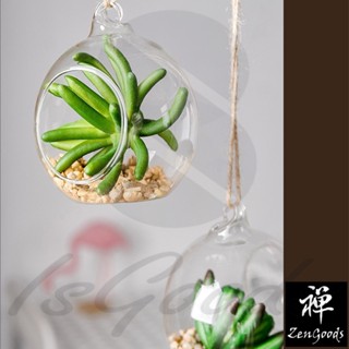 玻璃球吊飾盆栽球 微景觀玻璃瓶懸掛盆栽模擬植物牆上裝飾創意掛飾(好好逛🛒)_☆ZenGoods 禪好物☆