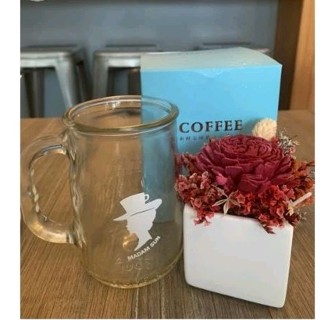 咖啡夫人 玻璃專用咖啡杯 濾掛咖啡玻璃杯 全新 咖啡杯 水杯