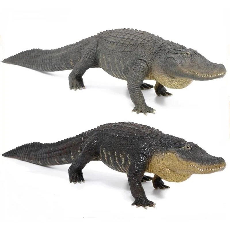 REBOR 美洲短吻鱷 短吻鱷 2023年新品 超大