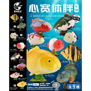 【MOVE】 (現貨) 動物星球 心寬體胖系列 第二十一彈 觀賞魚 vol.1 蘭壽 錦鯉 金魚 模型 公仔 盒玩 盲盒