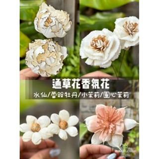 現貨獨家 蓪草扶桑花 蕾絲牡丹 小茉莉 向日葵 進口通草玫瑰 擴香花 香薰花 蓪草花 索拉花 MUMU花禮 永生花