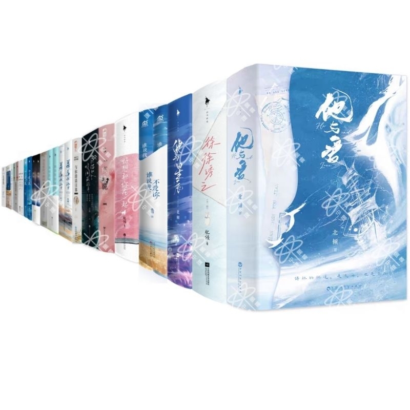 【全新預售】北傾 小說賣場 浮生知星辰 他站在時光深處 星輝落進風沙裡 想把你和時間藏起來 他為星辰 徐徐誘之