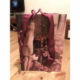 Estée Lauder 禮品紙袋有緞帶🎀