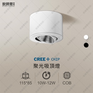 CREE晶片 COB吸頂筒燈 10W/12W 聚光 LED RCL-19038