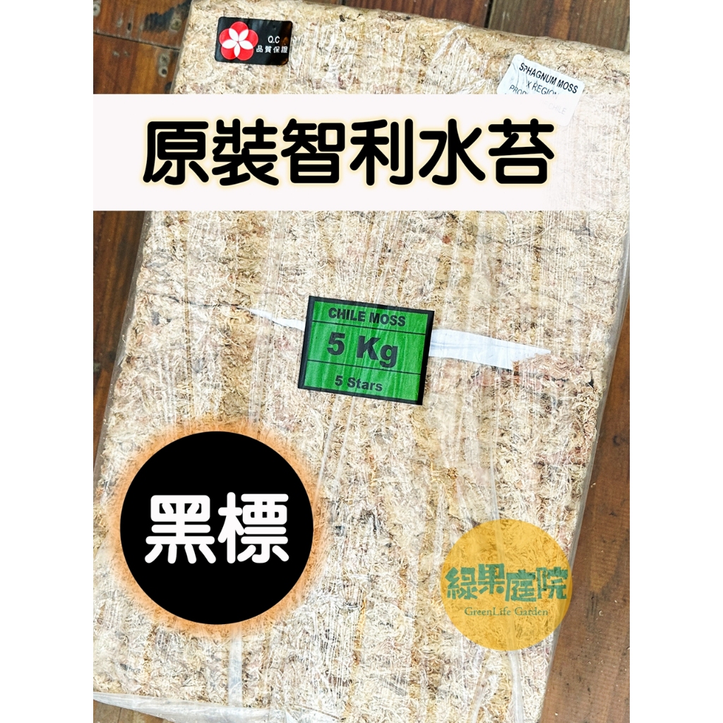 綠果庭院-原裝 黑標 智利水苔 5公斤 送泡水苔神器 鹿角蕨 蘭花 爬蟲植物 食蟲植物 觀葉 悶芽悶種子