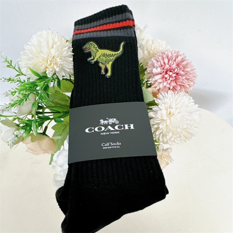 美國代購 Coach CM066 專櫃款 恐龍 長筒襪 襪子