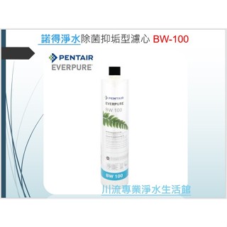 諾得淨水 除菌抑垢型濾心 BW-100 公司貨 隨貨附發票