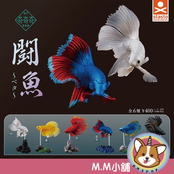 【M.M小舖】『現貨』 Standstones 轉蛋 扭蛋 鬥魚 Betta 魚 觀賞 公仔 奇奇奇 全6款