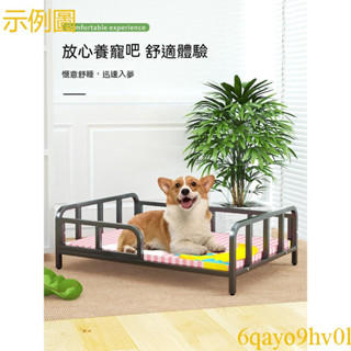 狗床 離地防咬狗窩 中小型犬鐵藝寵物床 貓床 寵物躺椅 狗狗行軍床 四季通用貓窩 寵物床 寵物床可拆洗 狗狗床 狗窩