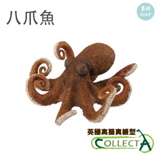 collectA 八爪魚 英國高擬真模型
