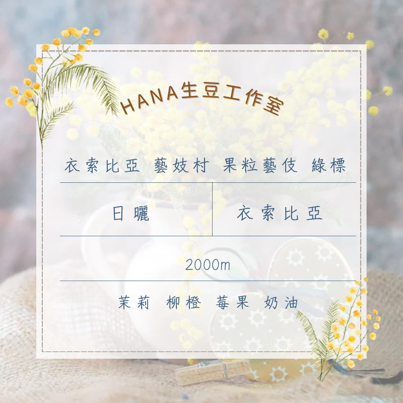 Hana生豆工作室｜衣索比亞 藝妓村 果粒藝伎 綠標 生豆