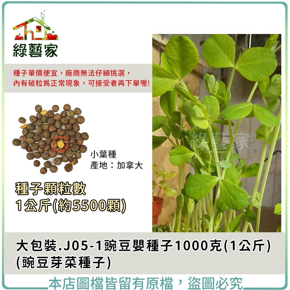 【綠藝家】大包裝J05-1.豌豆嬰種子1公斤(約5500顆) (豌豆芽菜種子)豌豆苗 種子 豌豆芽種子 芽菜種子