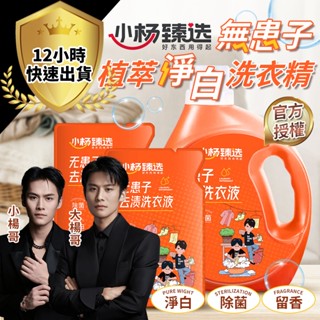 【小楊臻選🔥現貨免運】無患子去漬洗衣精 小楊哥 洗衣精 無患子洗衣精 濃縮洗衣精 洗衣粉 除臭 小楊哥洗衣精 柔軟精亮白