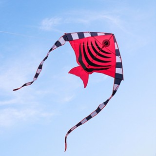 臺灣出24h開發票 熱帶魚造型彩色風箏(118*205)(無法超商取貨) 888玩具 888便利購
