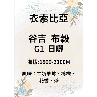 【環群咖啡生豆】 M01 衣索比亞 谷吉 布穀 罕貝拉 G1 日曬 咖啡生豆 生豆 咖啡濾紙 濾掛式咖啡 咖啡壺