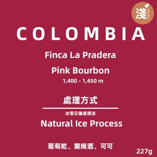 哥倫比亞 綠境莊園 粉紅波旁 冰雪日曬處理法 淺焙｜100 227克裝咖啡豆 攪拌咖啡
