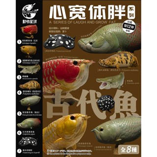 【動物星球】 授權代理商 現貨 第十二彈 第12彈 龍魚系列 古代魚 過背金龍 紅龍 模型 生日禮