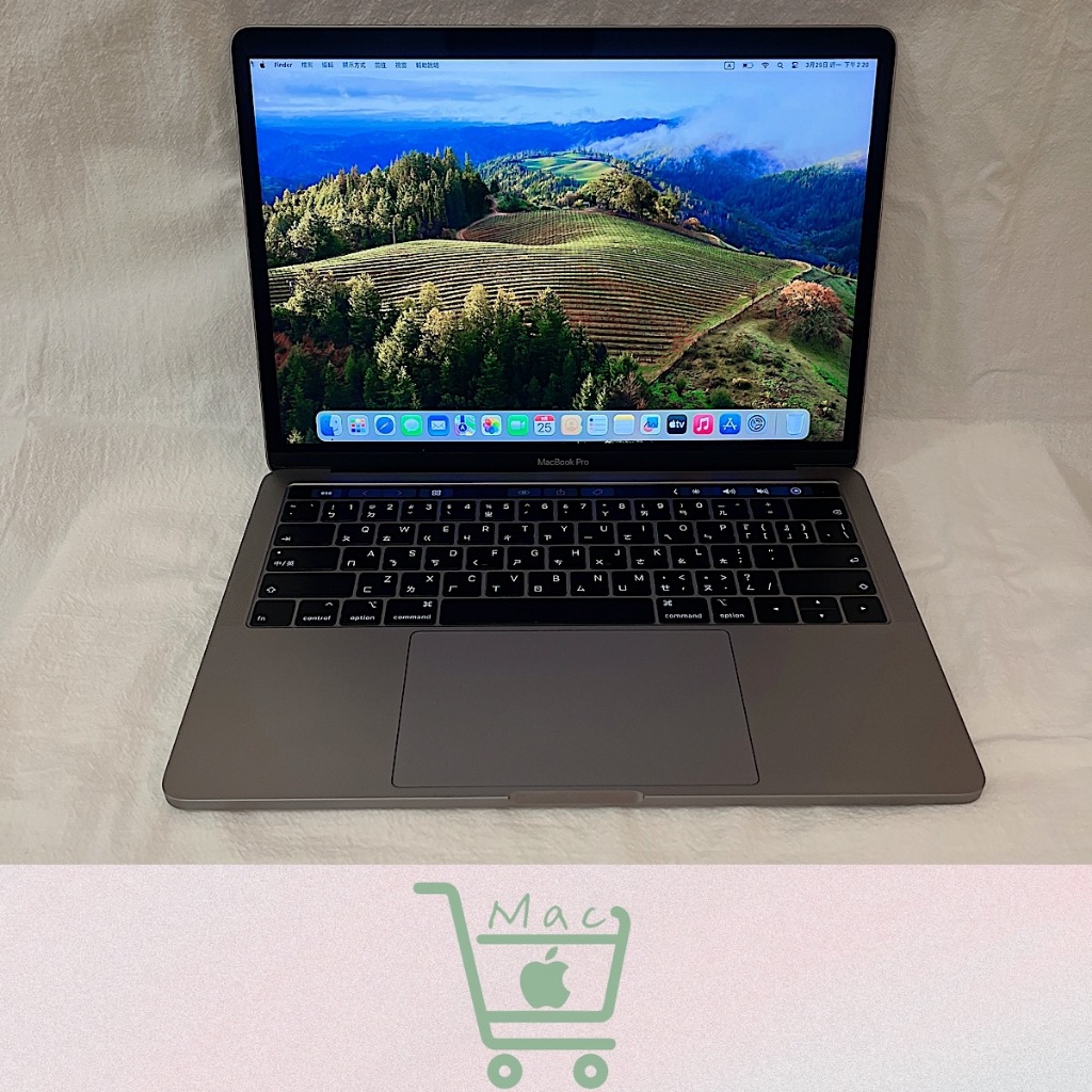 MacBook Pro 13吋 i5 1.4G 16G 256G 2019年款 太空灰 A2159 Touch Bar