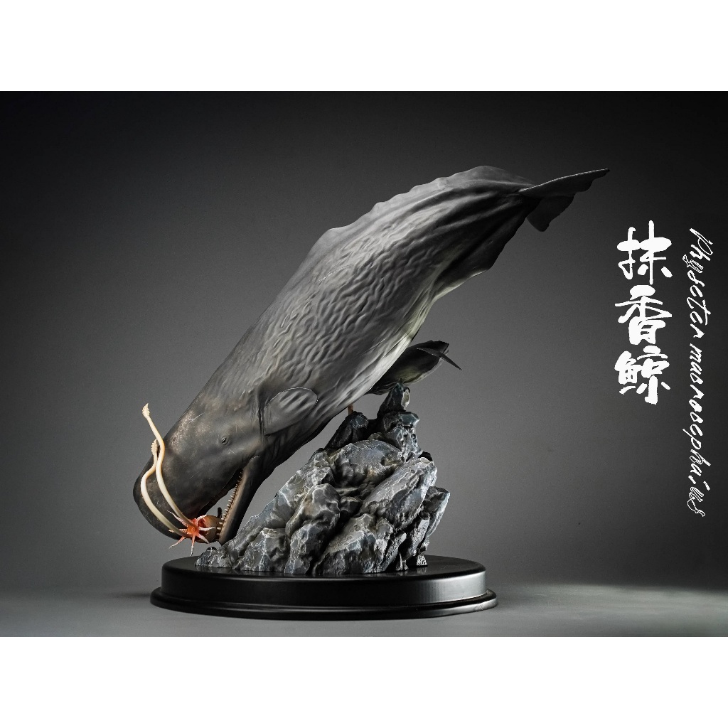 【MOVE】 (預購) 博物志 巨物工作室 抹香鯨X大王烏賊 GK 雕像 海洋系列