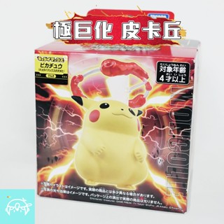 ✨正版現貨✨寶可夢公仔 極巨化 皮卡丘 寶可夢 神奇寶貝 TAKARA TOMY 寶可夢玩具 Mr.Snow史諾先生