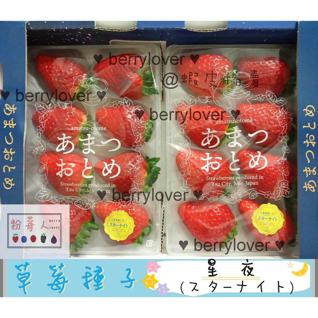 ❤️粉莓人🖤日本草莓  草莓種子 星夜